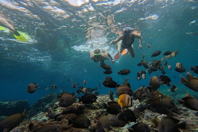 Lembongan Snorkeling at Manta Bay, Crystal Bay and Mangrove - Crystal Bay’s clear-water snorkel for coral and colorful fish