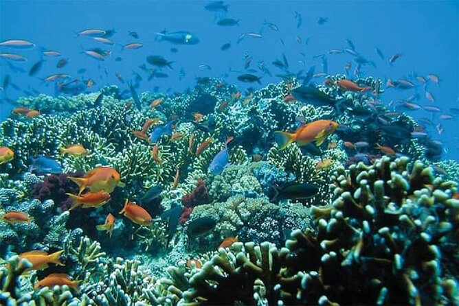 Lempuyang Gate of Heaven and City Tour - Blue Lagoon Beach near Padang Bai: swim-ready waters and snorkel add-ons