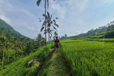 Lemukih Hidden Trekking Waterslide Sekumpul and Fiji Waterfall - From Lemukih Village into rice terraces and jungle streams