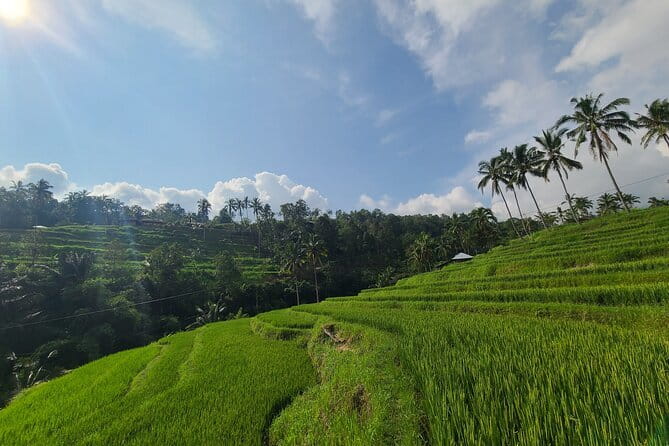 Lemukih Hidden Trekking Waterslide Sekumpul and Fiji Waterfall - Practical gear and packing notes (so you don’t regret it)