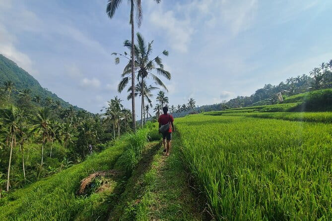 Lemukih Hidden Trekking Waterslide Sekumpul and Fiji Waterfall - From Lemukih Village into rice terraces and jungle streams