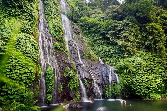 Lovina Sunrise Dolphin & Waterfall Tour - Price and value: is $79 per person a smart move?
