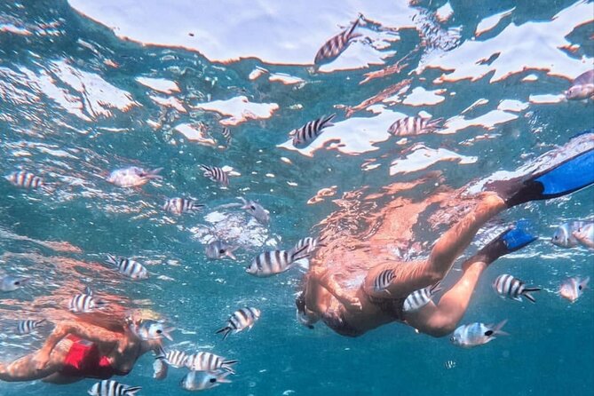 Lovina Sunrise Dolphin with option snorkeling and waterfall - Price and what $16 really buys