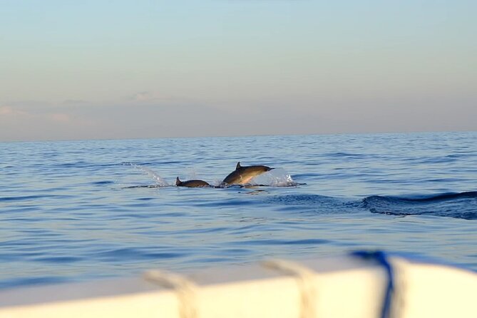 Lovina Sunrise Dolphin with option snorkeling and waterfall - Stop 1 at Lovina: sunrise dolphin watching (around 3 hours)