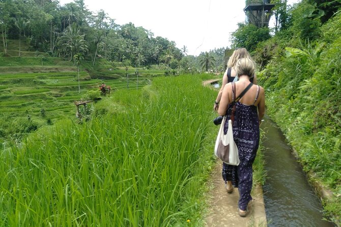 Magic Of Ubud Temple Swing And Waterfall Private Guided Tour - Stop 6: Tirta Empul Temple for sacred spring water rituals