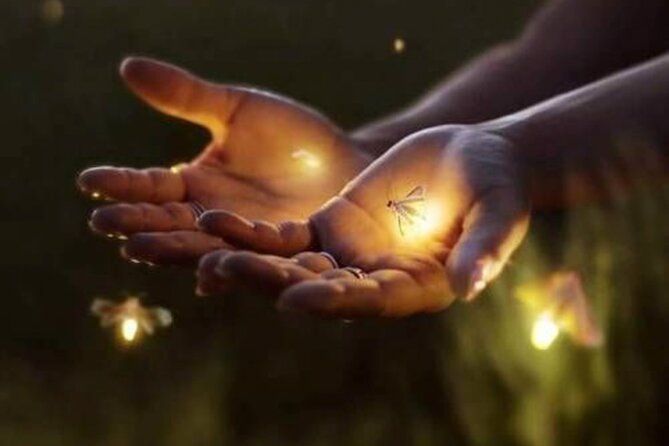 Magical Village Tour & Private Dinner with Fireflies in Bali - Delodsema meeting point to rice-field night walk: your 2-hour flow