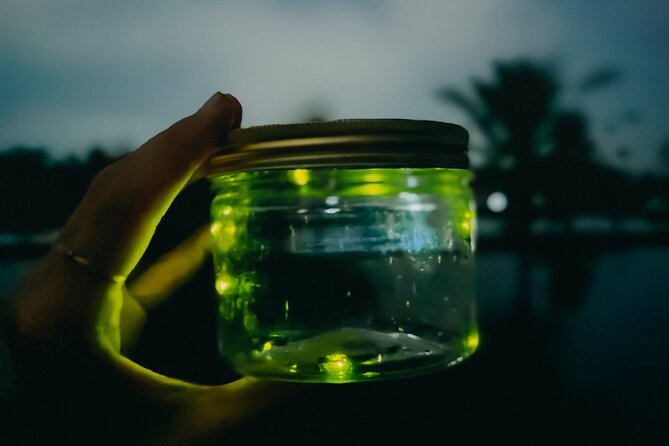 Magical Village Tour & Private Dinner with Fireflies in Bali - Private dinner plus private guiding: is it worth $28 per person?