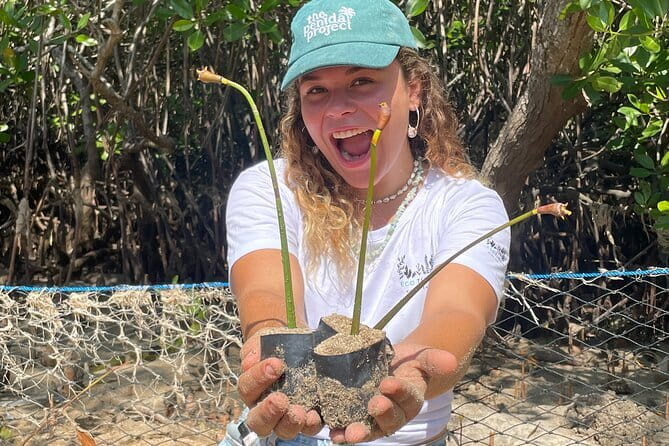 Mangrove Reforestation and Exploration around the Nusa Islands - Mangrove Point on Nusa Lembongan: planting 10 trees the hands-on way