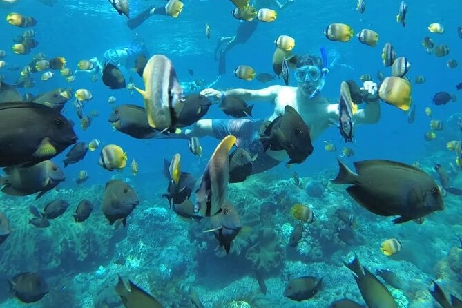 Manta Bay Snorkeling Adventure with Kelingking Beach Nusa Penida All Inclusive - Key things that make this tour worth your attention