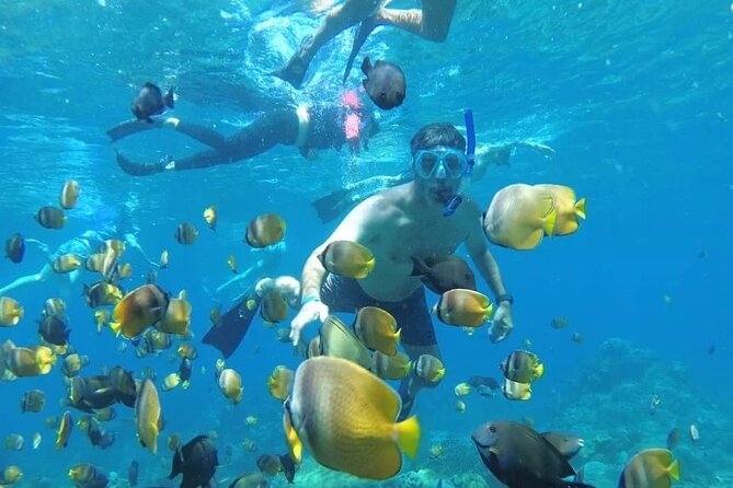 Manta Bay Snorkeling Adventure with Kelingking Beach Nusa Penida All Inclusive - From Jimbaran-area pickup to Sanur fast-boat morning