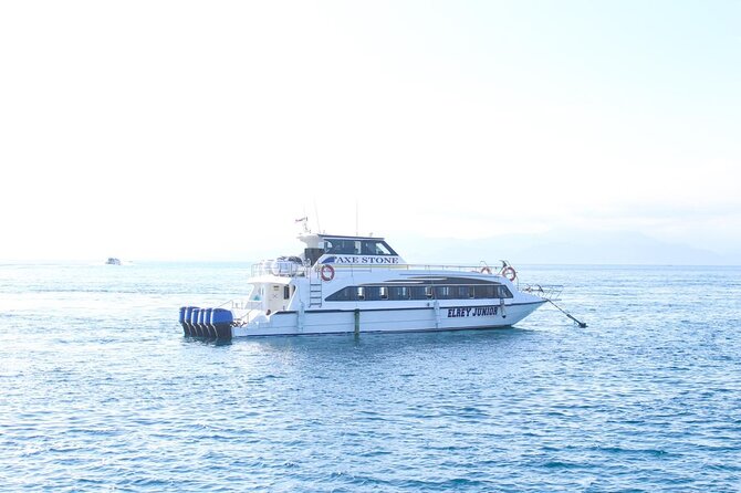 Manta Bay Snorkeling Adventure with Kelingking Beach Nusa Penida All Inclusive - Price and value: what $125.65 really covers