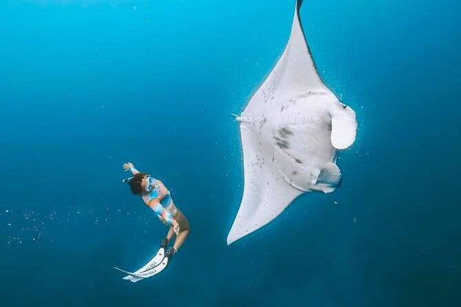 Manta Point Snorkeling & West Nusa Penida Island Day Tour - Key Highlights You’ll Actually Feel