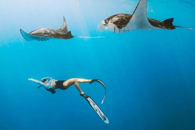 Manta Point Snorkeling & West Nusa Penida Island Day Tour - A Day Built Around Manta Rays at Manta Point