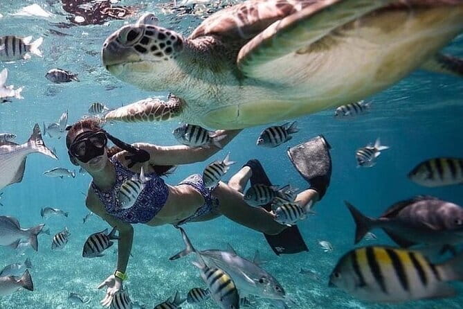 Manta Point Snorkeling & West Nusa Penida Island Day Tour - GoPro Underwater Photos, Gear Setup, and Small Comfort Wins