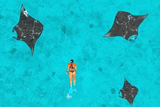 Manta Point Snorkeling & West Nusa Penida Island Day Tour - From Bali to Nusa Penida: How Timing and Travel Usually Feel