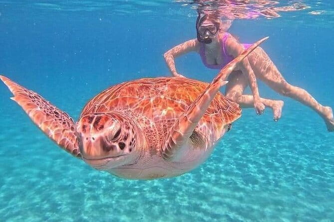 Monkey Bar and snorkling adventure at blue lagoon. - Blue Lagoon snorkeling: 2 hours of coral and fish time