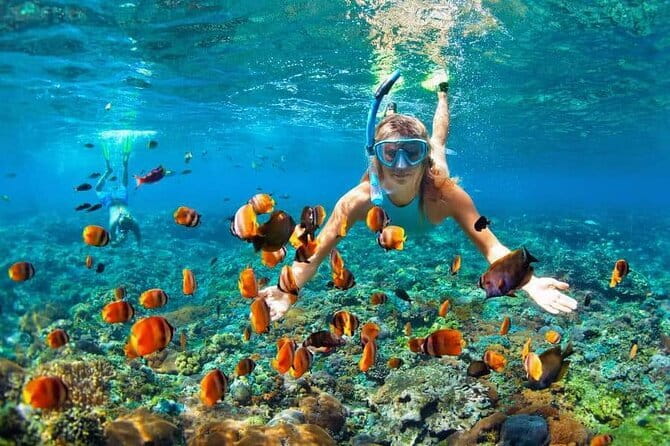 Monkey Bar and snorkling adventure at blue lagoon. - Who this tour suits best (and who should reconsider)