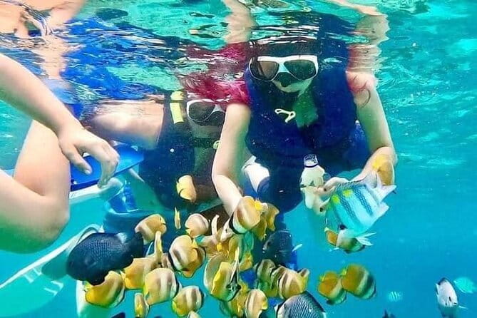 Monkey Bar and snorkling adventure at blue lagoon. - Monkey Bar at Bella Vista: infinity-pool views plus a set-menu lunch