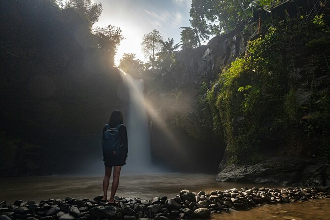 Monkey Forest, Temple, Waterfall and Rice Terrace in Ubud Tour - The Real Value: Why the Guide Matters as Much as the Sights