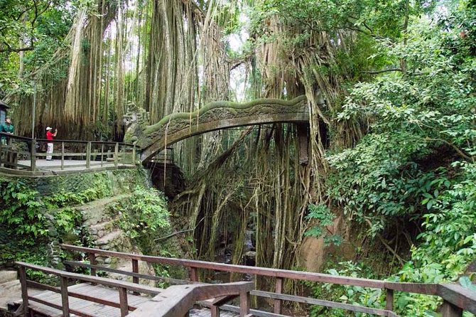 Monkey Forest Ubud Half day Tour - Tegalalang Rice Terrace: iconic views, faster timeframes, and best-shot photo strategy