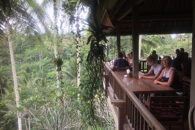 Monkey Forest, Ubud, Waterfall and Rice Terrace - A private Ubud day built around monkeys, rice terraces, and a waterfall