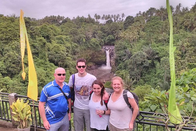 Monkey Forest, Ubud, Waterfall and Rice Terrace - Morning flow: how the driver shapes your Ubud route