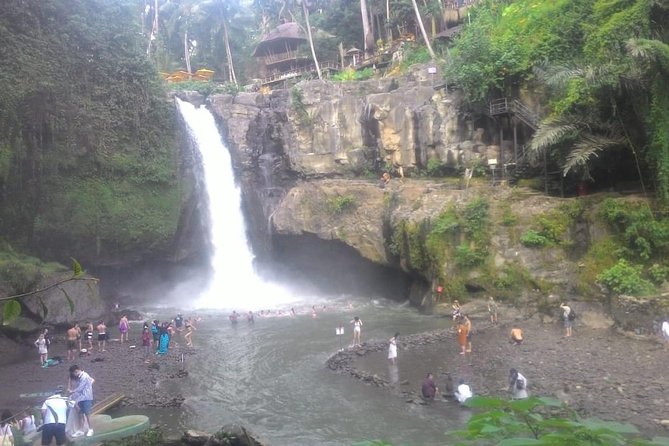 Monkey Forest, Ubud, Waterfall and Rice Terrace - Uma Pakel Agro Tourism: kopi Luwak education, not just a coffee break