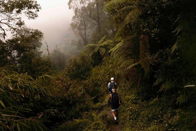 Mount Agung Sunrise Trekking with Local Guide - Who Should Book This Trek (and Who Should Think Twice)