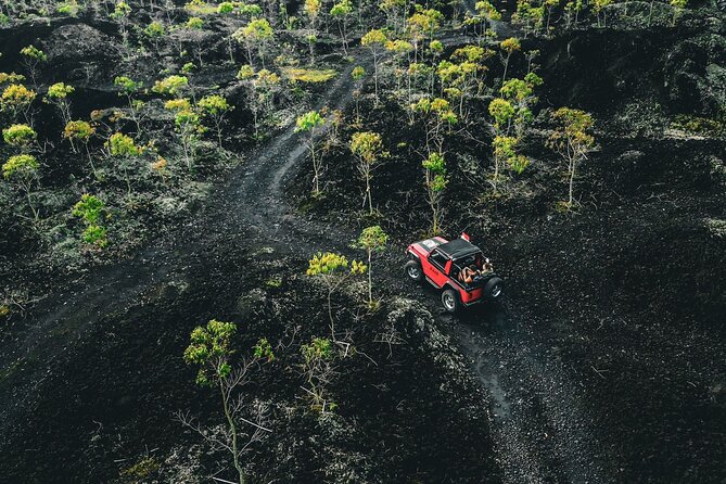 Mount Batur 4WD Jeep, Breakfast and Hot Spring All Inclusive - How the pickup and 4WD ride set the tone