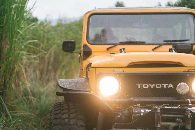 Mount Batur Black Lava Jeep Tour with Pickup - Mount Batur stops: viewpoints, black lava scenery, and cave time