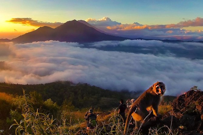 Mount Batur Sunrise Trekking With Breakfas - Optional Coffee Plantation or Luwak Stop: When It Makes Sense