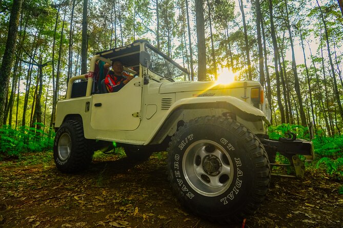 Mount Batur Trekking by 4wd Jeep - Mt. Batur at Dawn: What You’re Really Buying