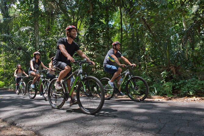 Mountain Cycling Tour - Fruit and Spice Stops: Small Tastes, Big Context