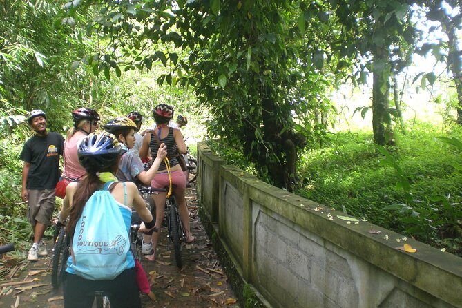 Mountain Cycling Tour - Taro’s Towering Bamboo Forest: A Scenic Change of Pace