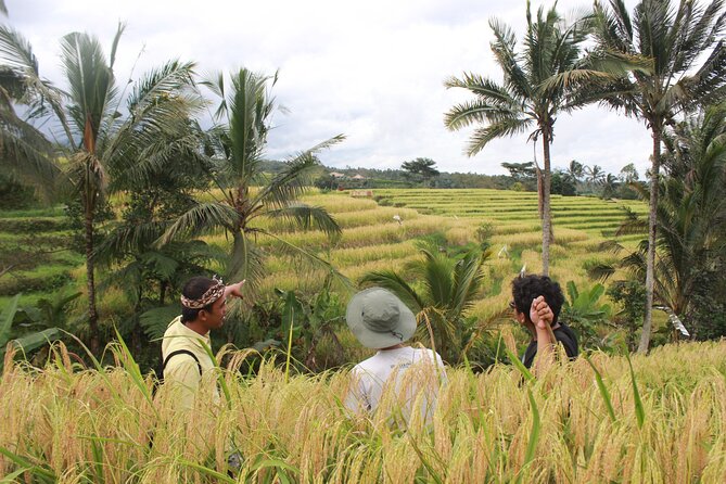 Munduk Private Customized Highlights Tour - North Bali in One Long Day From Ubud