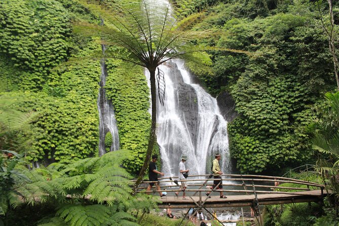 Munduk Private Customized Highlights Tour - Jatiluwih Rice Terraces (UNESCO) and Wanagiri Viewpoints