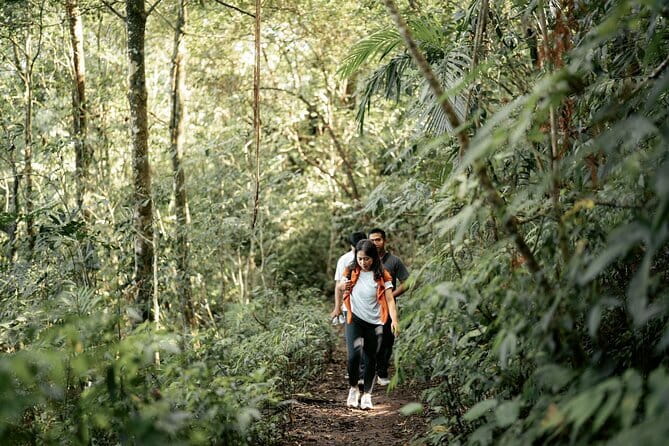 Munduk Twin Lake Jungle Hike, Ulun Danu Temple, & Waterfall - Twin Lake View: The Photo Stop That Sets the Tone