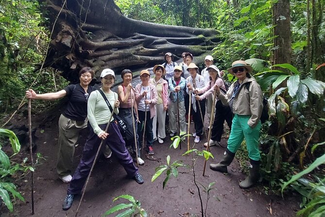 Munduk Twin Lake Jungle Trek with Sacred Forest Temples&Canoeing - The 1.5-hour rainforest trek: where the trail becomes the attraction