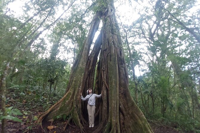 Munduk Twin Lake Jungle Trek with Sacred Forest Temples&Canoeing - Lake Tamblingan by canoe: the calm payoff