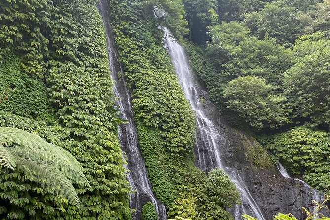 Munduk:authentic local Home cooking class - Banyumala Twin Waterfalls: adding nature without turning it into a hike-fest