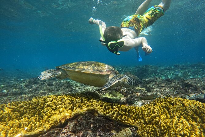 No:#1. Penida Island Tour And Snorkeling With Manta - The underwater photographer: how to get the most out of your photos