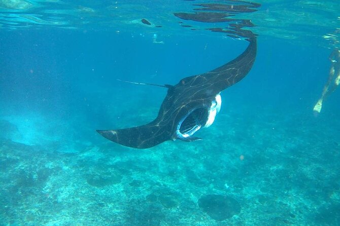 No:#1. Penida Island Tour And Snorkeling With Manta - Lunch on the day: fueling a 12.5-hour ocean adventure