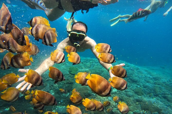 No:#1. Penida Island Tour And Snorkeling With Manta - Weather and sea conditions: the one variable you can’t control
