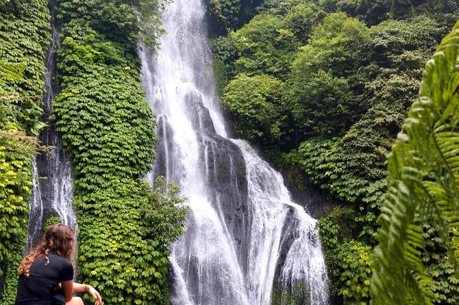 North Bali Hidden Gems Tour Ulun Danu Temple Twin Lakes Waterfall - Handara Gate Photo Stop: A 30-Minute Ticket to Big Bali Photos