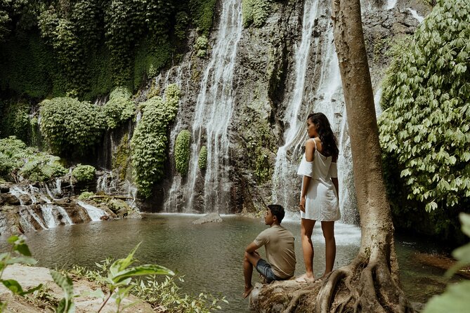 North Bali Hidden Gems Tour Ulun Danu Temple Twin Lakes Waterfall - Banyumala Waterfall: Jungle Hike, Multi-Tier Falls, and a Swim Option