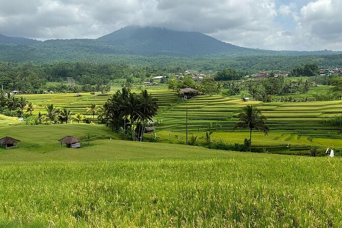 North Bali Nature Escape Rice Terraces, Temples & Waterfall - Should You Book North Bali Nature Escape?