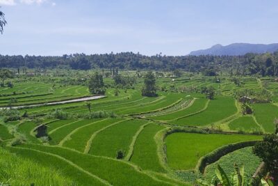 North Bali Private Tour - All Inclusive - Handara Iconic Gate: classic photo views with less stress