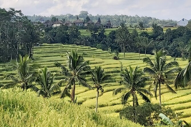North Bali Private Tour - All Inclusive - Banyumala Twin Waterfalls: the one you’ll remember most