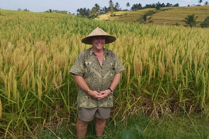 North Bali Private Tour - All Inclusive - Price and value: what $71 gets you (and what it doesn’t)
