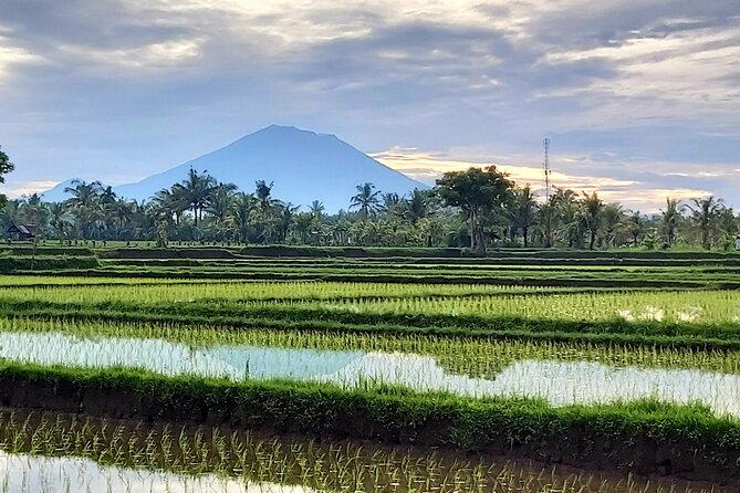 North Bali Private Tour - All Inclusive - Guides and driving: why private makes North Bali easier